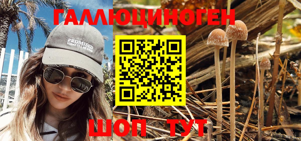 Галлюциногенные грибы Magic Shrooms  Вход с VPN  купить   Александров 